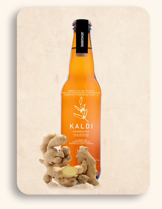 Kombucha sabor jengibre