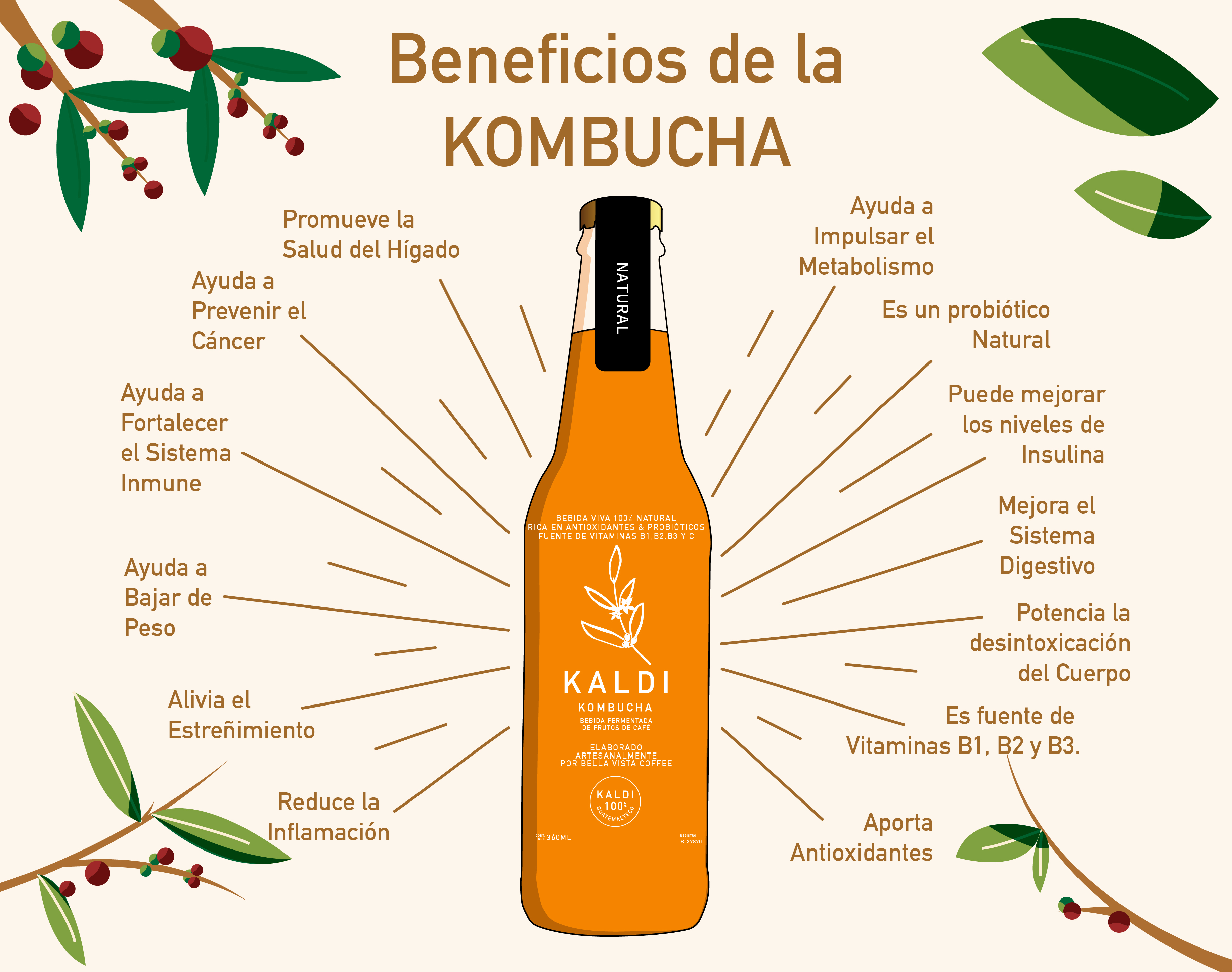 Beneficios de la Kombucha